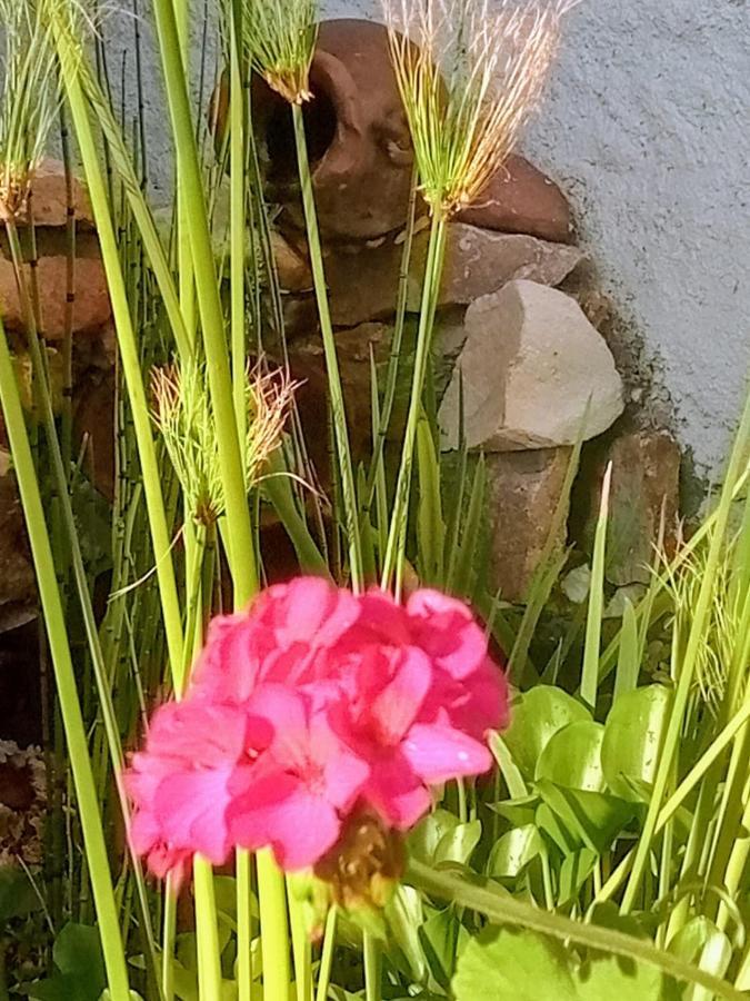 Raiz Del Cielo, Entre 2 Jardines De Ensueno Apartman Córdoba Kültér fotó