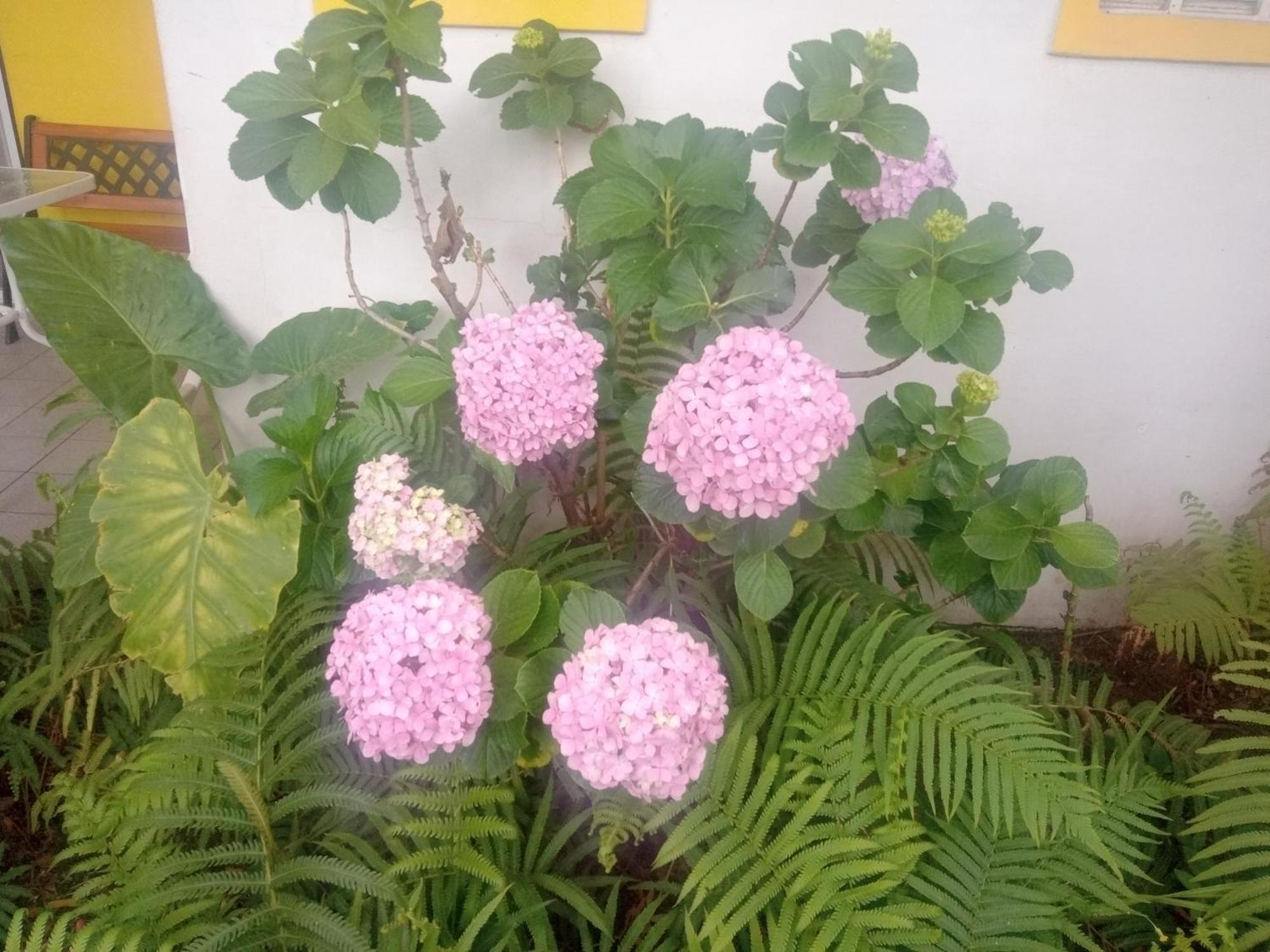Raiz Del Cielo, Entre 2 Jardines De Ensueno Apartman Córdoba Kültér fotó